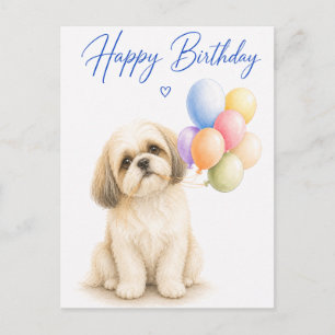 Shih Tzu Birthday Postcard