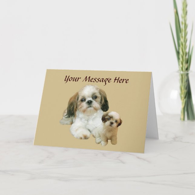 Shih Tzu Buddies Greeting Card (Front)