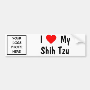 Shih Tzu Bumper Sticker