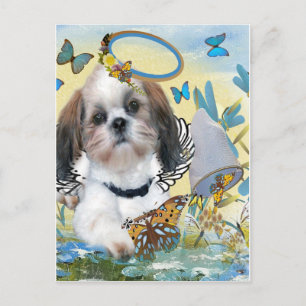 Shih Tzu Butterfly Chaser Cards