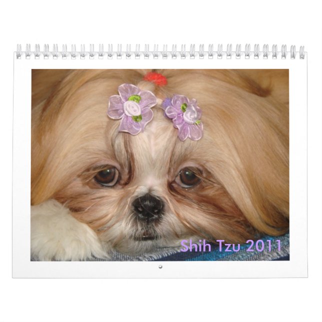 Shih Tzu Calendar (Cover)