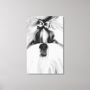Shih Tzu Canvas Print