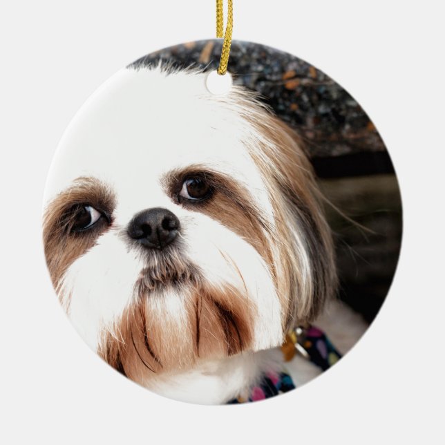 Shih Tzu Ceramic Tree Decoration (Front)