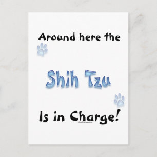 Shih Tzu Charge Postcard