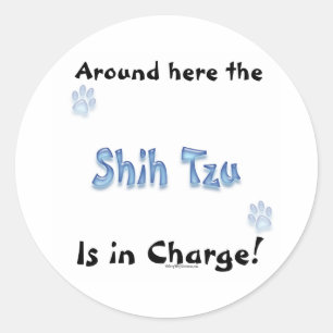Shih Tzu Charge - Sticker