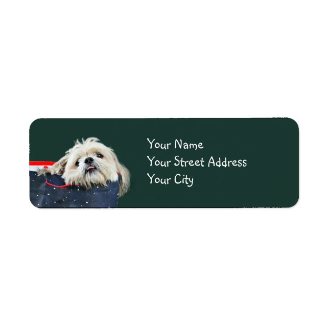 Shih Tzu Christmas (Front)