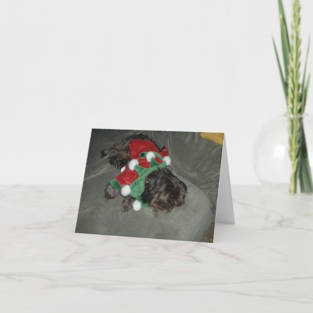 Shih Tzu Christmas Card (Front)