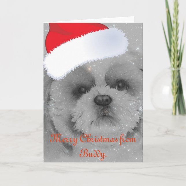 Shih Tzu Christmas Card (Front)