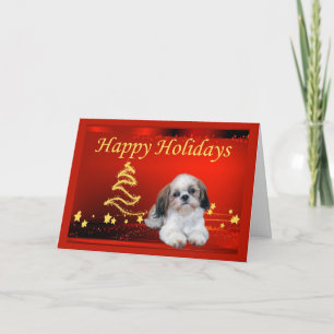 Shih Tzu Christmas Card Stars
