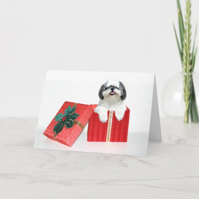 Shih Tzu Christmas gift Holiday Card (Front)