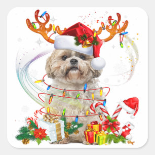 Shih Tzu Christmas Reindeer Christmas Lights Square Sticker