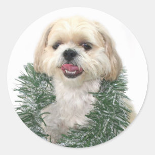 Shih Tzu Christmas sticker