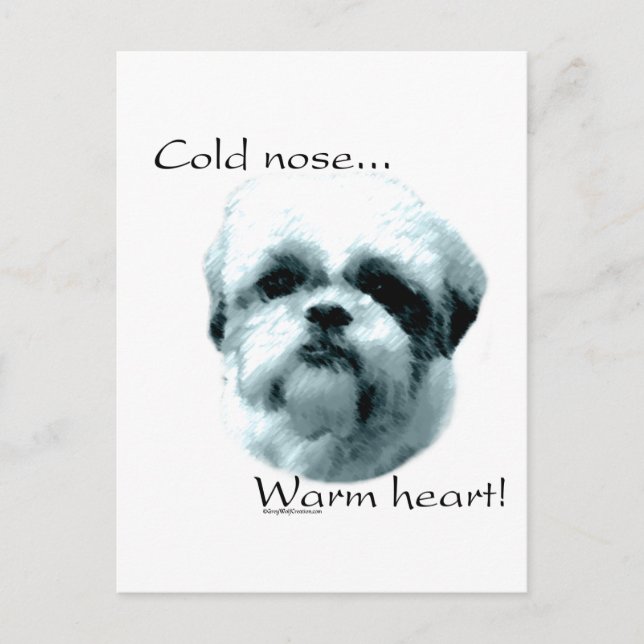 Shih Tzu Cold Nose Warm Heart Postcard (Front)