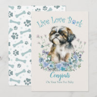 Shih Tzu Dog Adoption, Gotcha Day