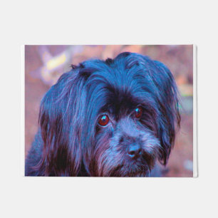 Shih Tzu Dog. Doormat