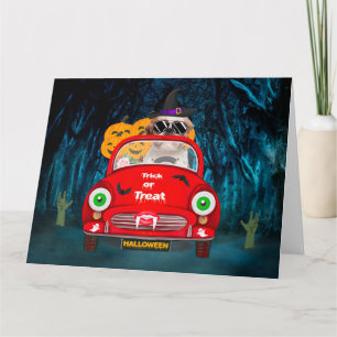 Shih Tzu Dog Driving Car Scary Halloween Card