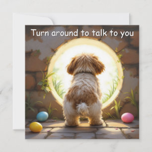 Shih Tzu dog - Easter  Holiday Card