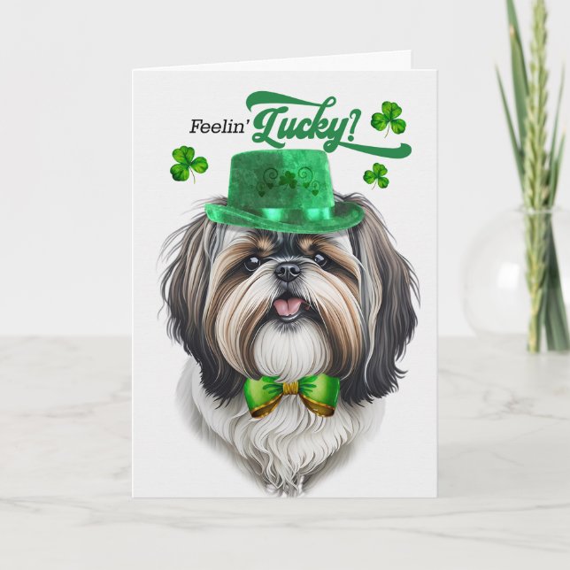 Shih Tzu Dog Feelin' Lucky St Patrick's Day Holiday Card (Front)