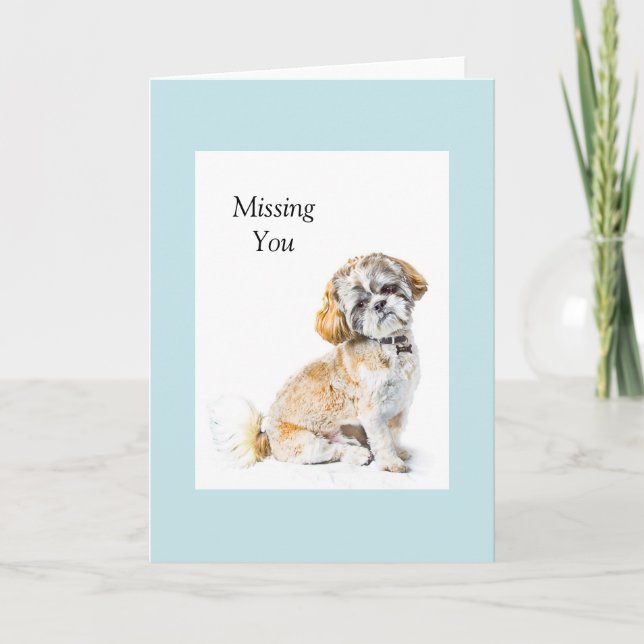 Shih Tzu Dog Greeting Card (Front)