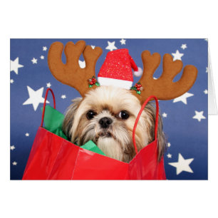 Shih Tzu dog in a red shopping bag