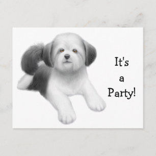 Shih Tzu Dog Invitation
