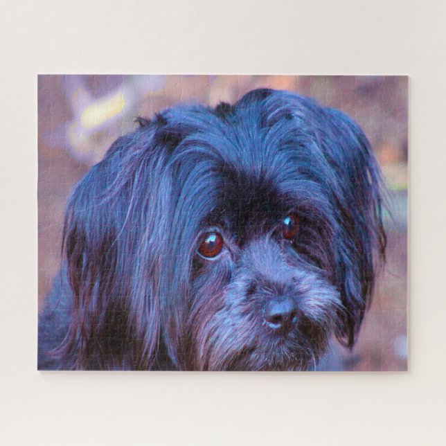 Shih Tzu Dog Jigsaws. Jigsaw Puzzle (Horizontal)