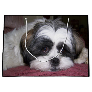 Shih Tzu Dog Large Gift Bag
