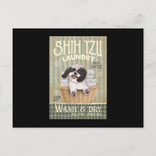 Shih Tzu Dog Laundry Cute Shih Tzu Life Puppy Tzu Postcard