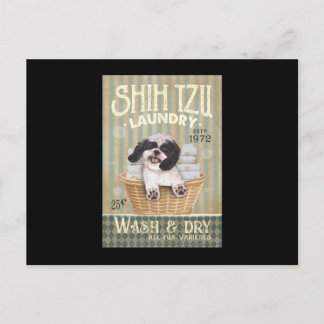 Shih Tzu Dog Laundry Cute Shih Tzu Life Puppy Tzu Postcard