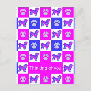 Shih Tzu Dog & Paw Pink & Blue Thinking of You Postcard