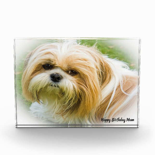 Shih Tzu Dog Photo Block (Front)