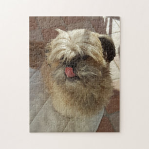 Shih Tzu dog photo puzzle
