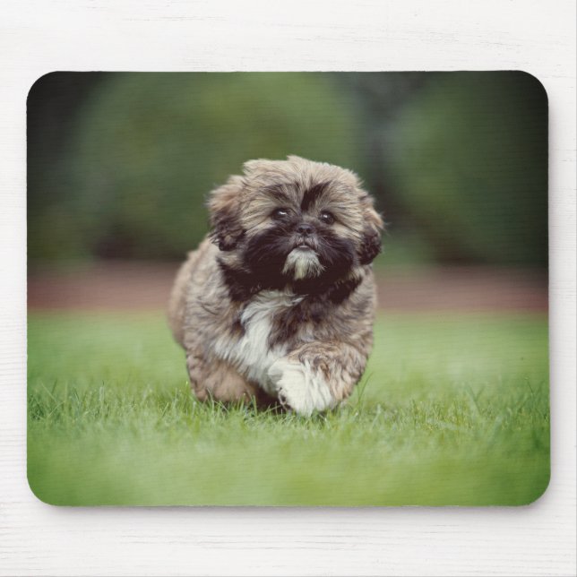 Shih tzu, Dog, Puppy Mouse Pad (Front)