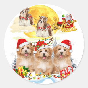 Shih Tzu Dog Santa Sleigh Christmas Lover Gift Classic Round Sticker