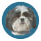 Shih Tzu Dog Sticker