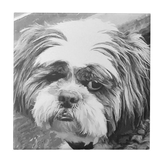 SHIH TZU DOG  TILE (Front)