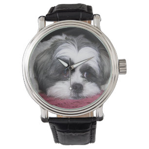 Shih Tzu Dog Watch