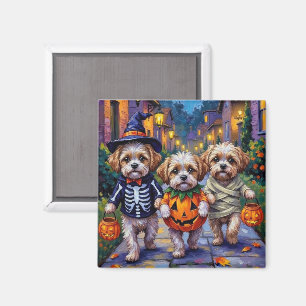 Shih Tzu Dogs Trick-or-Treating Halloween Costumes Magnet