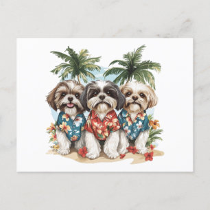 Shih Tzu Dogs Wearing Hawaiian Shirts Postcard