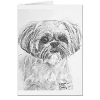 Shih Tzu Drawing
