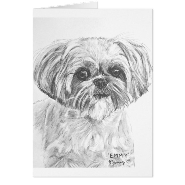Shih Tzu Drawing (Front)