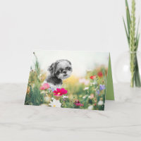 Shih Tzu Girl and Flower Field Greeting Card