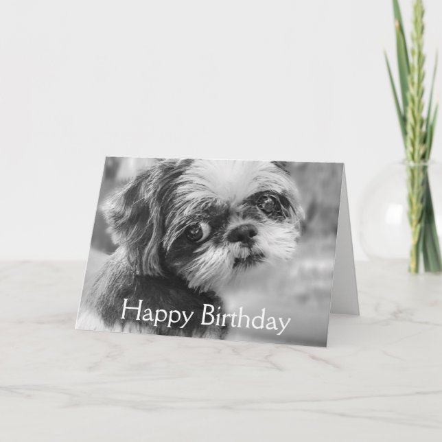 Shih Tzu Girl Black and White Greeting Card (Front)