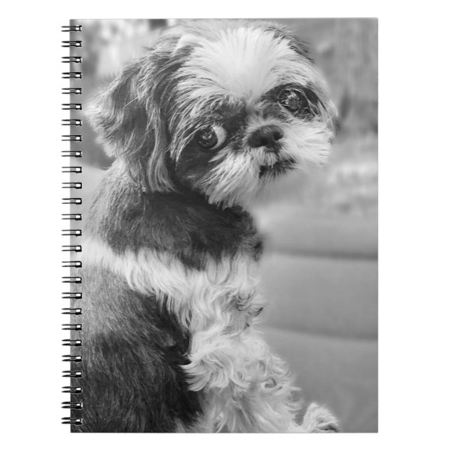 Shih Tzu Girl Notebook (Front)