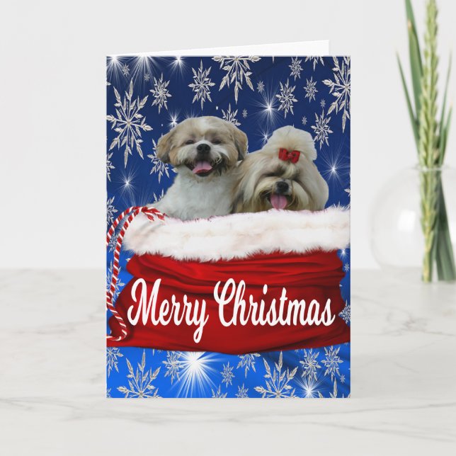 Shih tzu Greeting Card Christmas (Front)