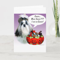 Shih Tzu (groomed) Halloween Candy