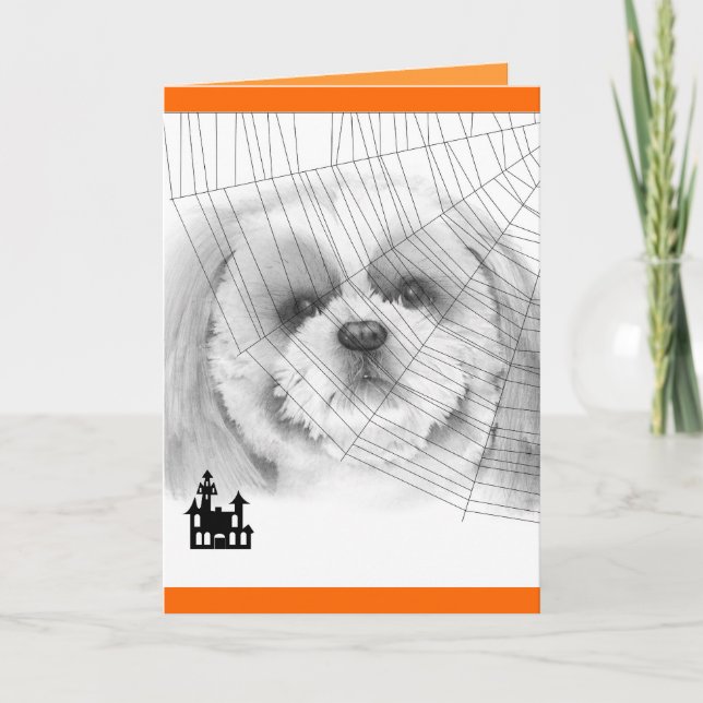 Shih Tzu Halloween Card (Front)