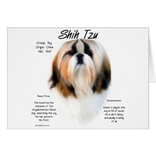 Shih Tzu History Design