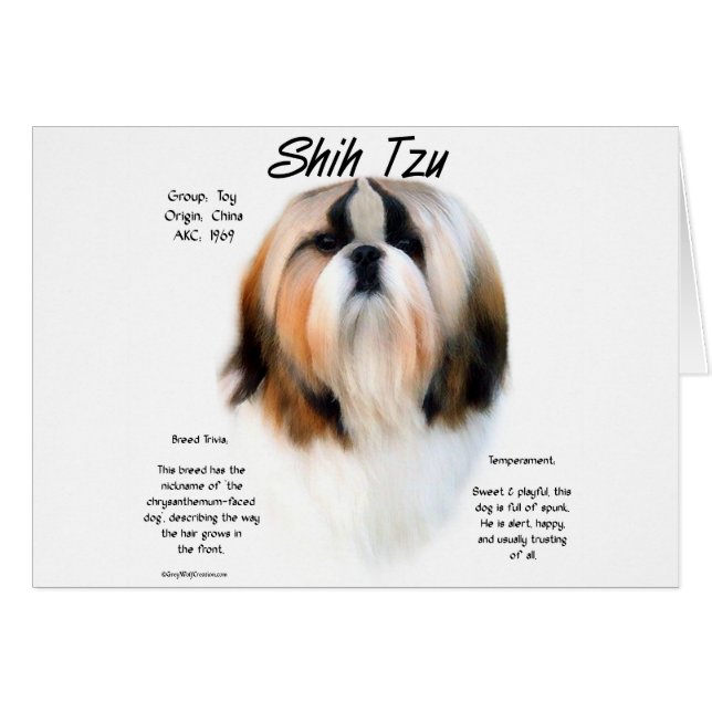 Shih Tzu History Design (Front Horizontal)