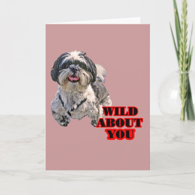 Shih Tzu Holiday Card (Front)